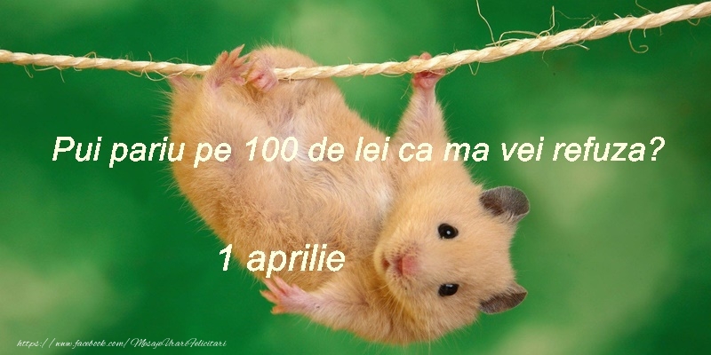 Un 1 Aprile plin de zambete!