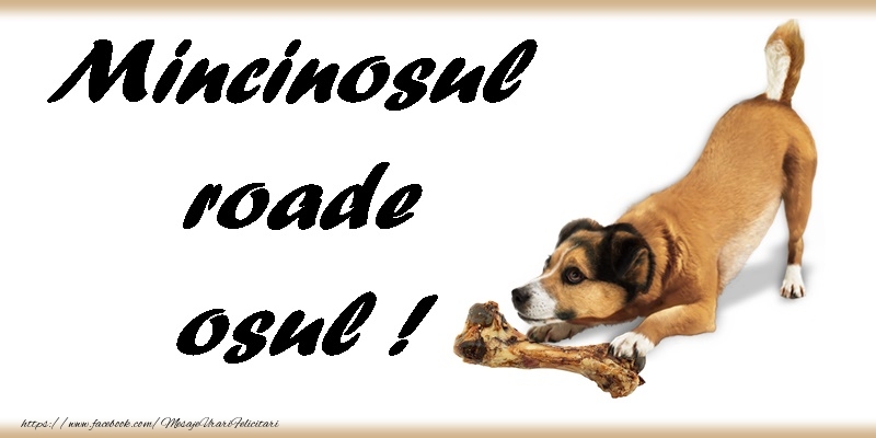 Un 1 Aprile plin de zambete!