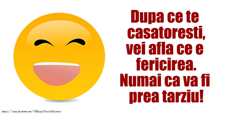 Dupa ce te casatoresti, vei afla ce e fericirea. Numai ca va fi prea tarziu!