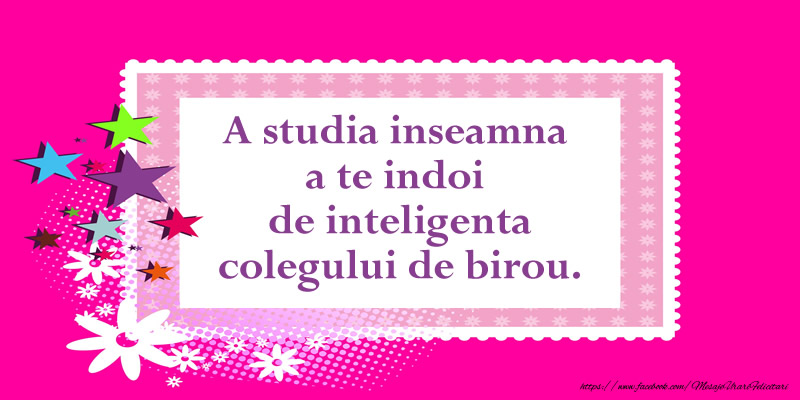 A studia inseamna a te indoi de inteligenta colegului de birou
