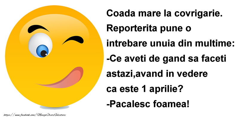 1 aprilie felicitari Banc: Pacalesc foamea de 1 Aprilie!