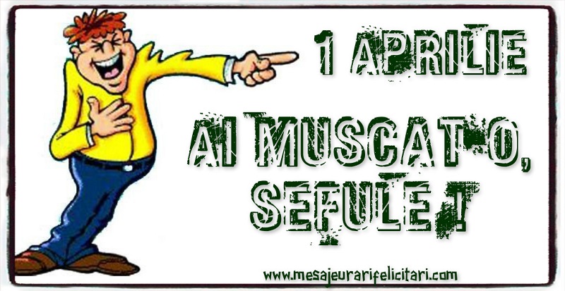 Ai muscat-o, sefule !