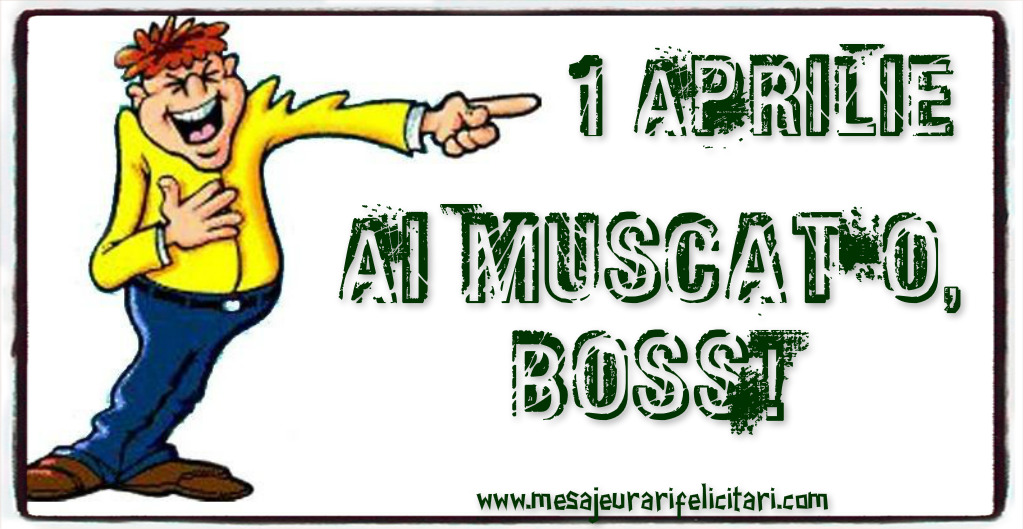 Ai muscat-o, boss !