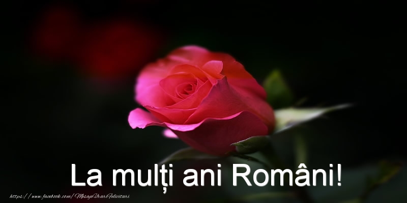 La mulţi ani Români!