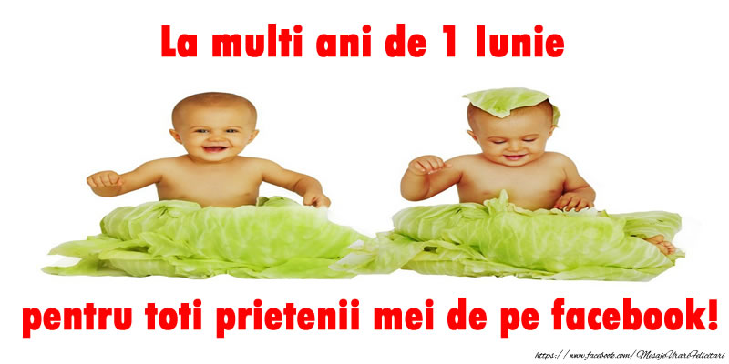 La multi ani de 1 Iunie pentru toti prietenii mei de pe facebook!