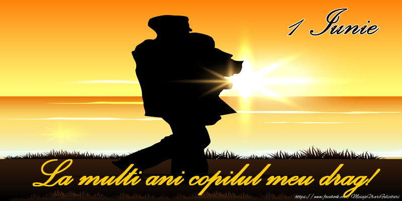 1 Iunie La multi ani copilul meu drag!