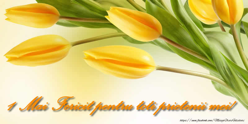 1 Mai Fericit pentru toti prietenii mei!