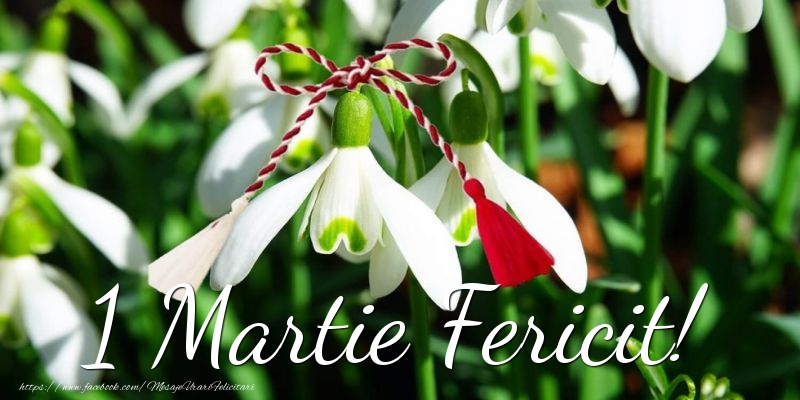 Felicitari de 1 Martie - 💮💮 1 Martie Fericit! - mesajeurarifelicitari.com