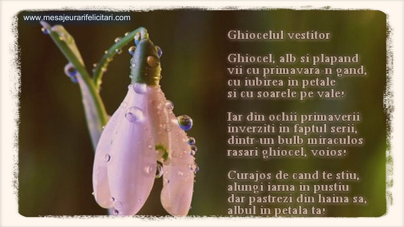 Ghiocelul vestitor  Ghiocel, alb si plapand vii cu primavara-n gand, cu iubirea in petale si cu soarele pe vale!