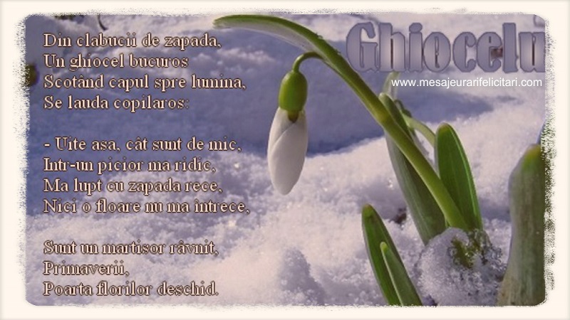 Ghiocelul  Din clabucii de zapada, Un ghiocel bucuros Scotând capul spre lumina, Se lauda copilaros:  - Uite asa, cât sunt de mic, Intr-un picior ma ridic,