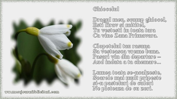 Ghiocelul  Dragul meu, scump ghiocel, Esti firav si mititel, Tu vestesti in toata tara Ca vine Zana Primavara.