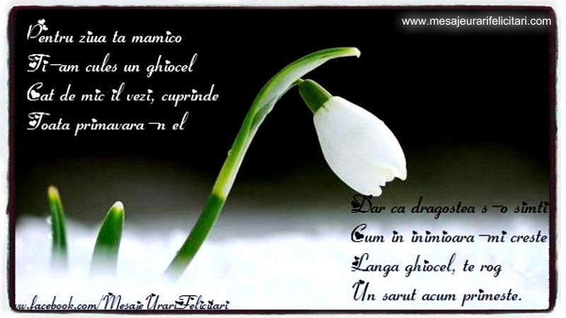 Pentru ziua ta, mămico, Ţi-am cules un ghiocel Cât de mic îl vezi, cuprinde Toată primăvara-n el.