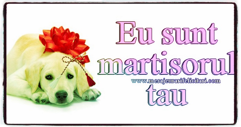 Eu sunt martisorul tau !