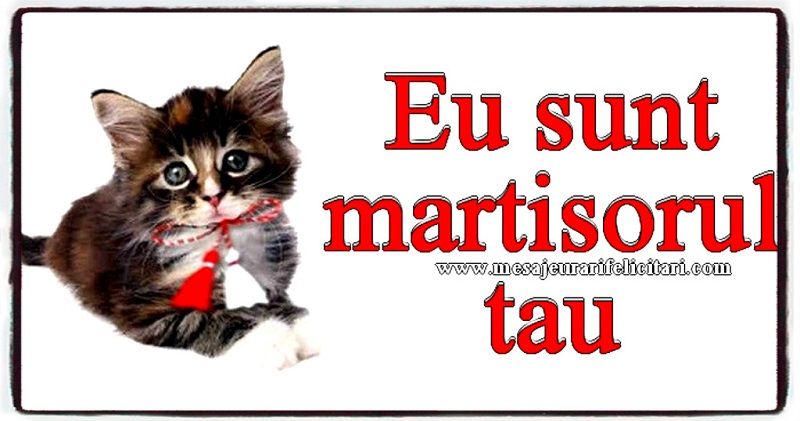 Eu sunt martisorul tau !