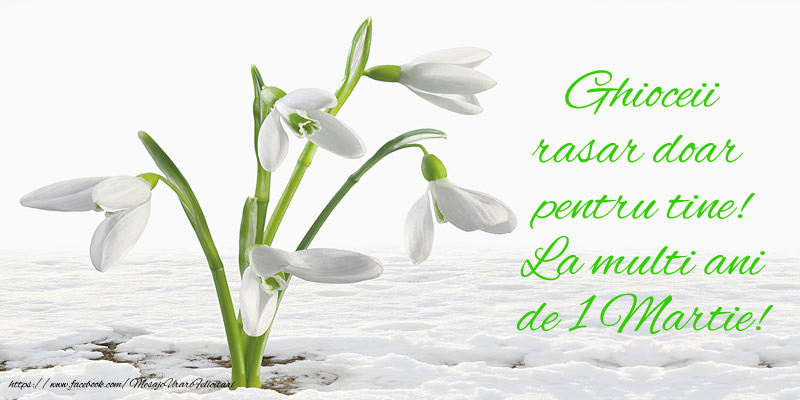 Ghioceii rasar doar pentru tine! La multi ani de 1 Martie!