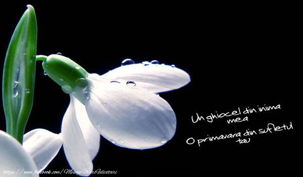 Un ghiocel din inima mea O primavara din sufletul tau