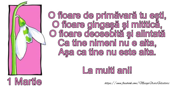 O floare de primavara tu esti ... La multi ani!