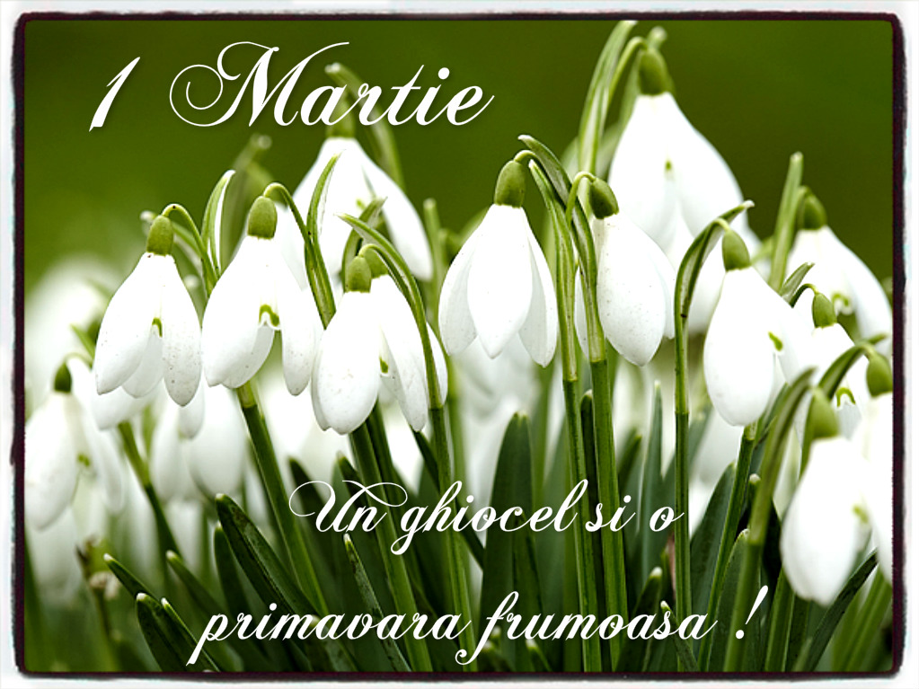Un ghiocel si primavara frumoasa !