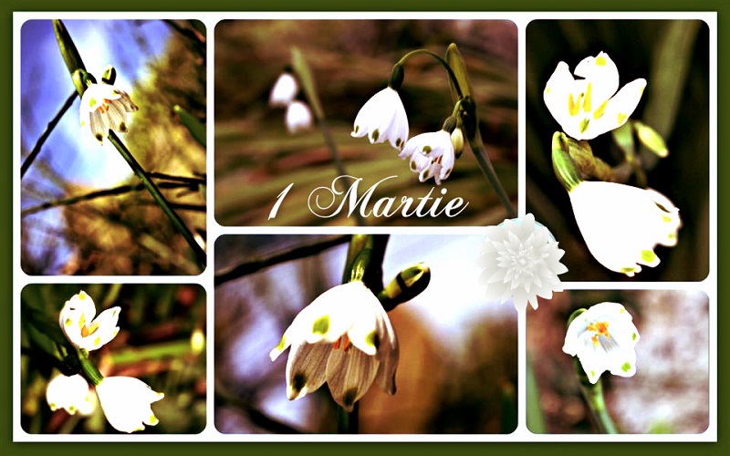 1 Martie
