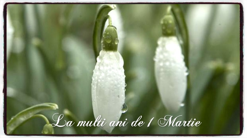 La multi ani de 1 Martie