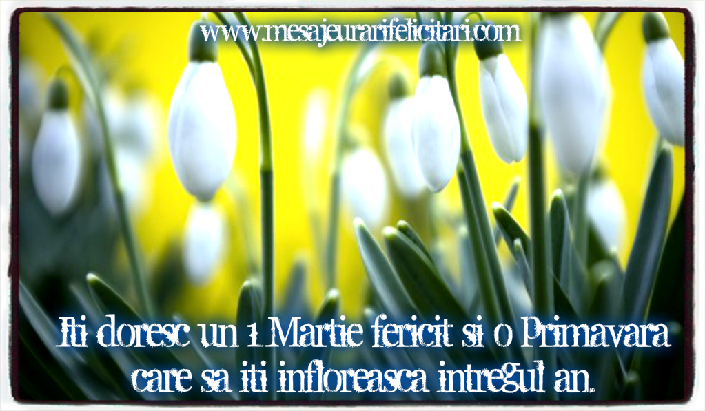 Iti doresc un 1 Martie fericit si o primavara care sa iti infloreasca intregul an.