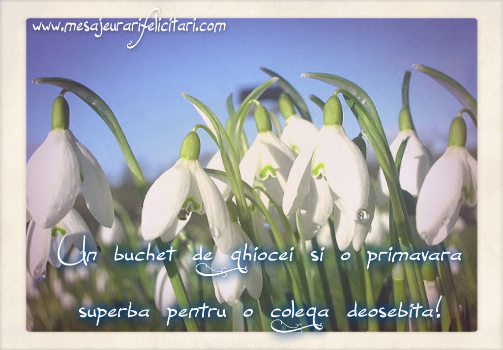 Un buchet de ghiocei si o primavara superba pentru o colega deosebita!