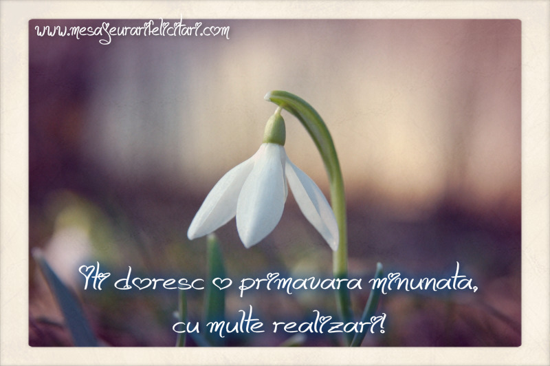 Iti doresc o primavara minunata, cu multe realizari!
