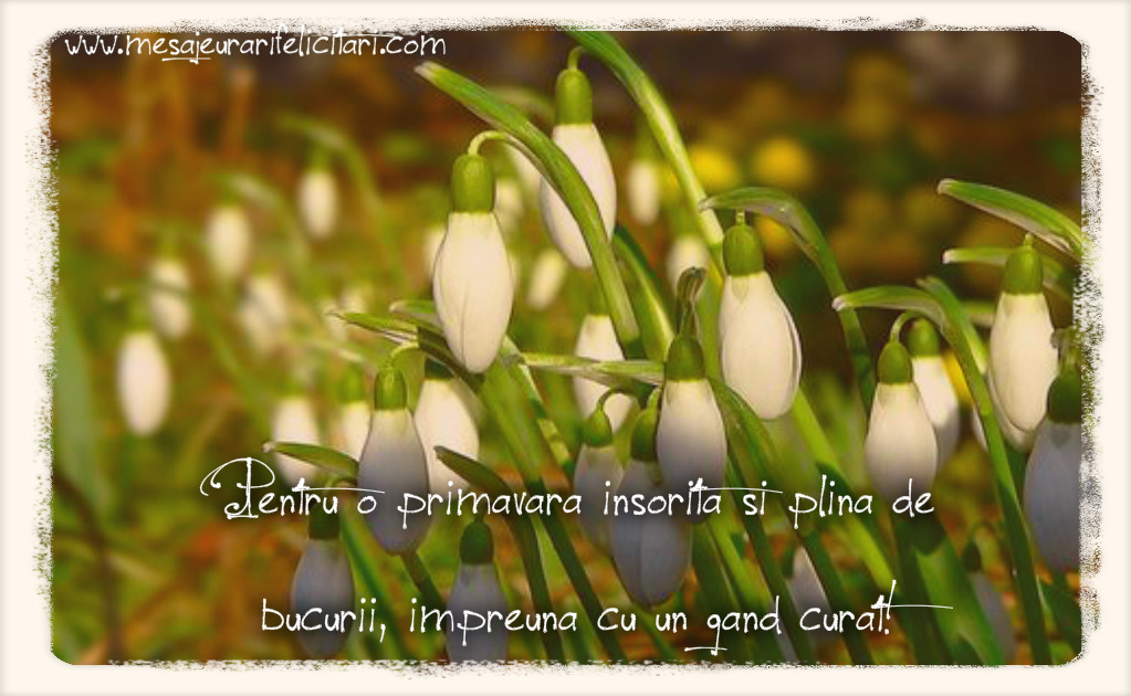 Pentru o primavara insorita si plina de bucurii, impreuna cu un gand curat!