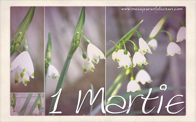 Felicitare de 1 Martie!
