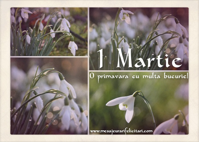 O primavara cu multa bucurie!