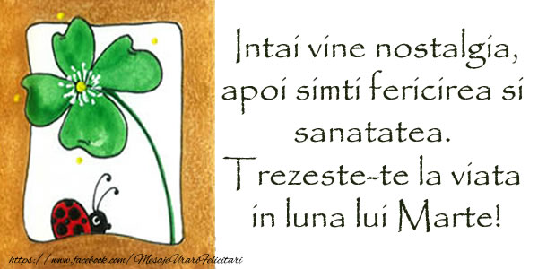 Intai vine nostalgia, apoi simti fericirea si sanatatea. Trezeste-te la viata in luna lui Marte!
