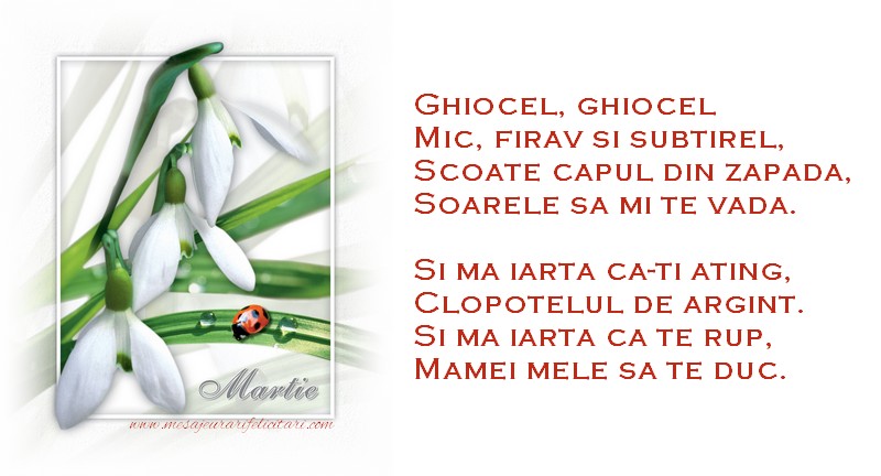 Ghiocel, ghiocel Mic, firav si subtirel Scoate capul din zapada Soarele sa mi te vada.