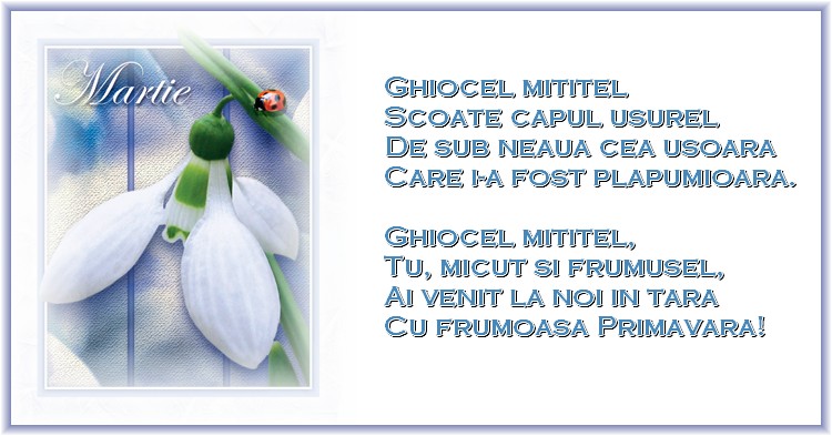 Ghiocel mititel Scoate capul usurel De sub neaua cea usoara Care i-a fost plapumioara.  Ghiocel mititel, Tu, micut si frumusel, Ai venit la noi in tara Cu frumoasa Primavara!