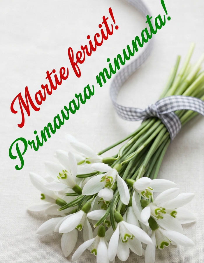 Felicitari de 1 Martie - Primavara minutata - mesajeurarifelicitari.com