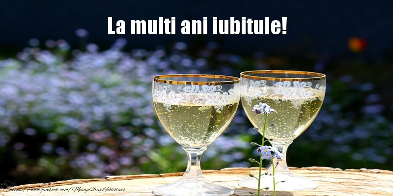 La multi ani iubitule!