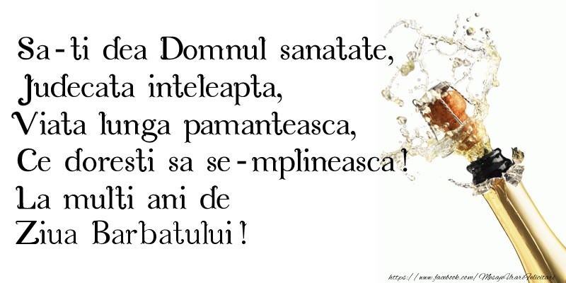 Sa-ti dea Domnul sanatate, Judecata inteleapta, Viata lunga pamanteasca, Ce doresti sa se-mplineasca! La multi ani de Ziua Barbatului!