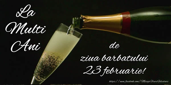 Felicitari de 23 Februarie - La multi ani de ziua barbatului 23 februarie! - mesajeurarifelicitari.com