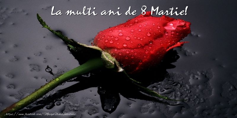 La multi ani de 8 Martie!