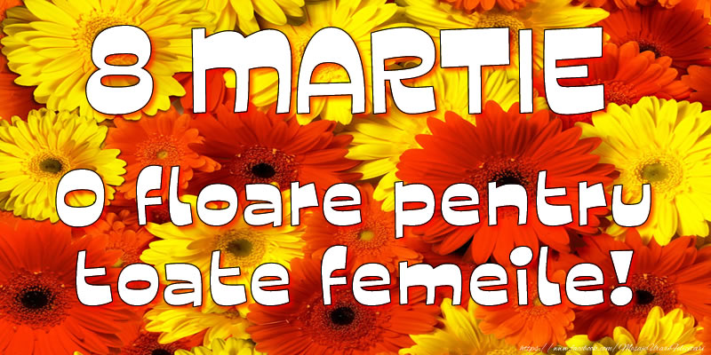 8 Martie - O floare pentru toate femeile!