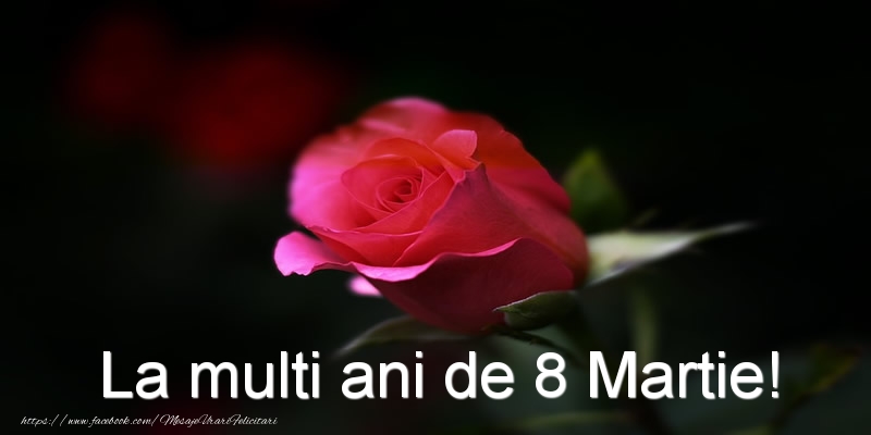 La multi ani de 8 Martie!