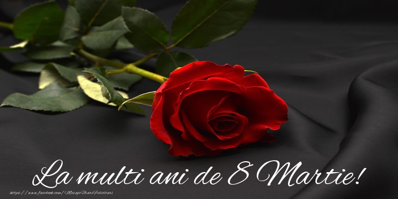 La multi ani de 8 Martie!