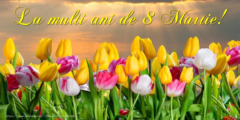 La multi ani de 8 Martie!
