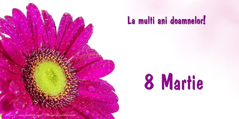 La multi ani doamnelor! 8 Martie