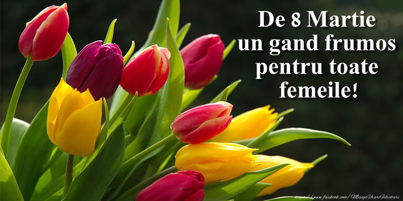 De 8 Martie un gand frumos pentru toate femeile!