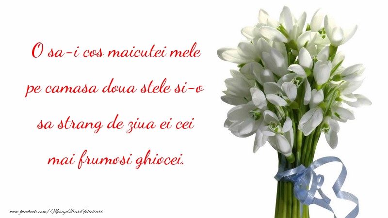 O sa-i cos maicutei mele pe camasa doua stele