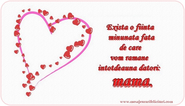 Exista o fiinta minunata fata de care vom ramane intotdeauna datori: mama
