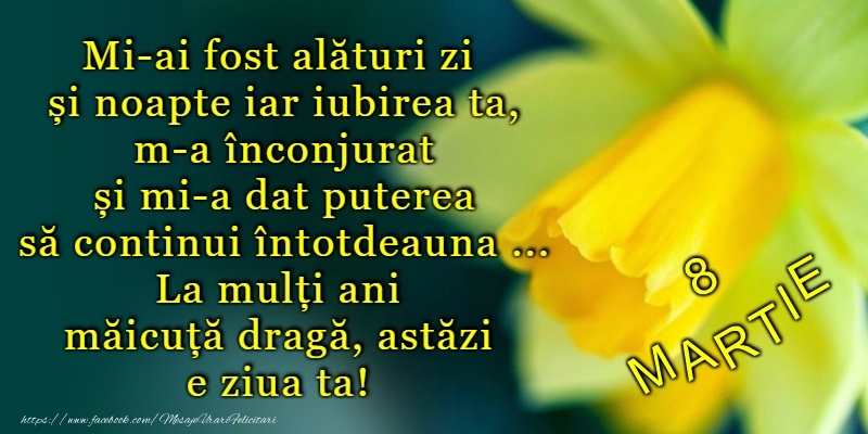 8 Martie Fericit!