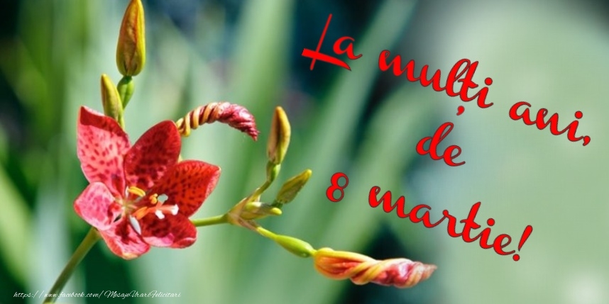 Felicitari de 8 Martie - 8 Martie Fericit! - mesajeurarifelicitari.com