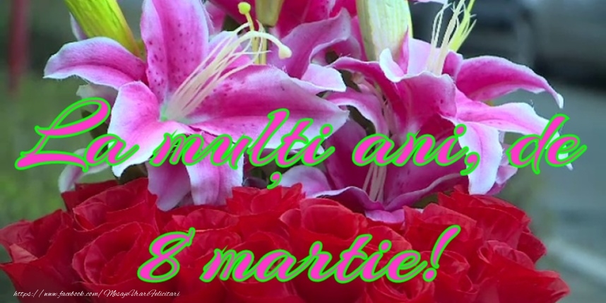 Felicitari de 8 Martie - 8 Martie Fericit! - mesajeurarifelicitari.com