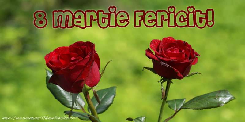 8 Martie Fericit!